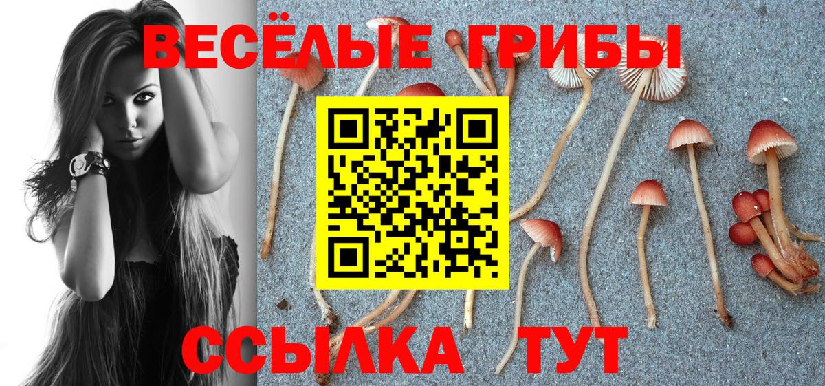 Псилоцибиновые грибы Psilocybe  Вход с VPN  Калач-на-Дону  Галлюциногенные грибы ЛСД 